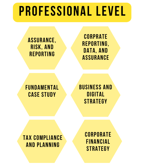ICAEW Professional level modules 