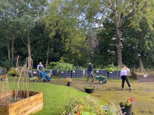First Intuition staff members helping out at a community garden