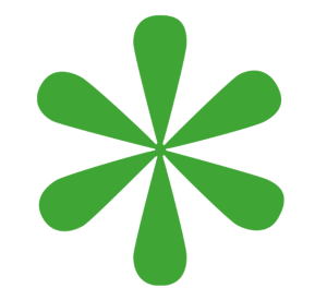 FI logo