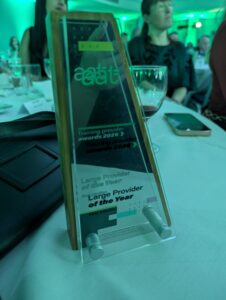 2026 Large Provider of the Year award trophy